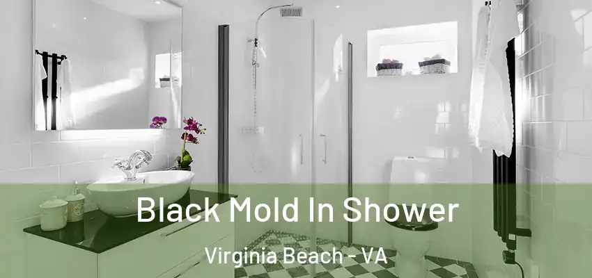  Black Mold In Shower Virginia Beach - VA