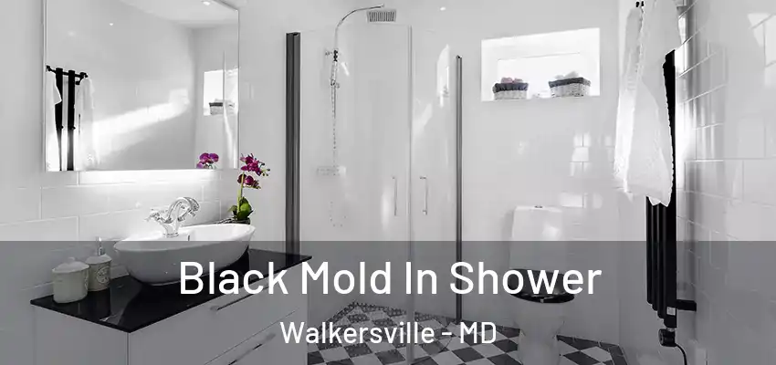  Black Mold In Shower Walkersville - MD