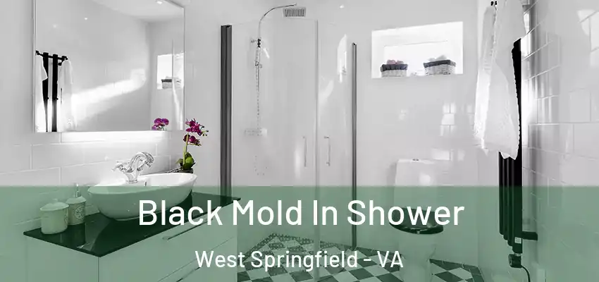 Black Mold In Shower West Springfield - VA