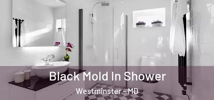Black Mold In Shower Westminster - MD