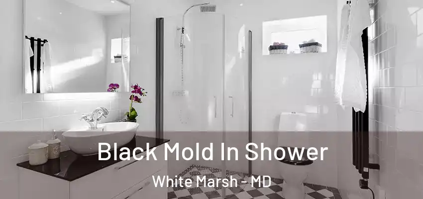 Black Mold In Shower White Marsh - MD