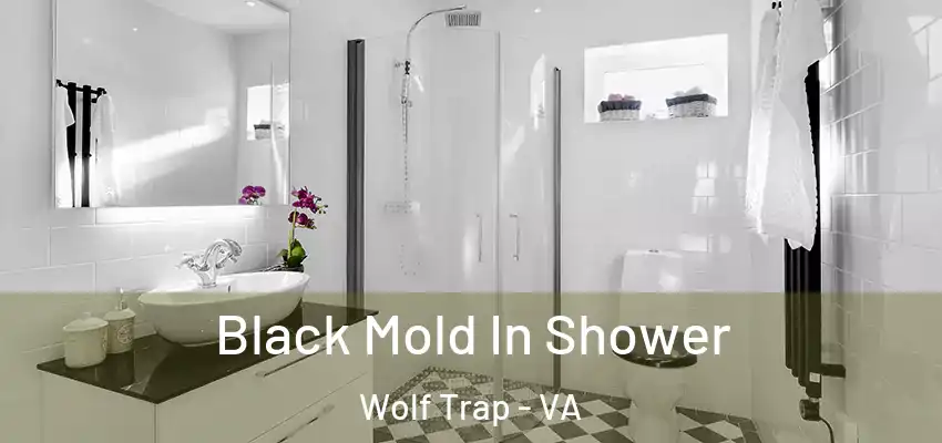  Black Mold In Shower Wolf Trap - VA