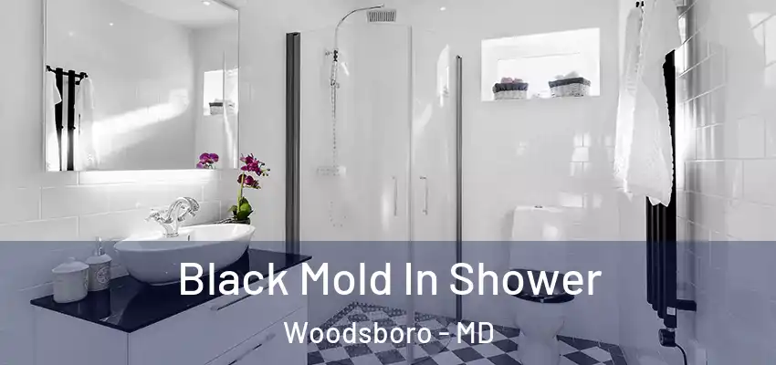  Black Mold In Shower Woodsboro - MD