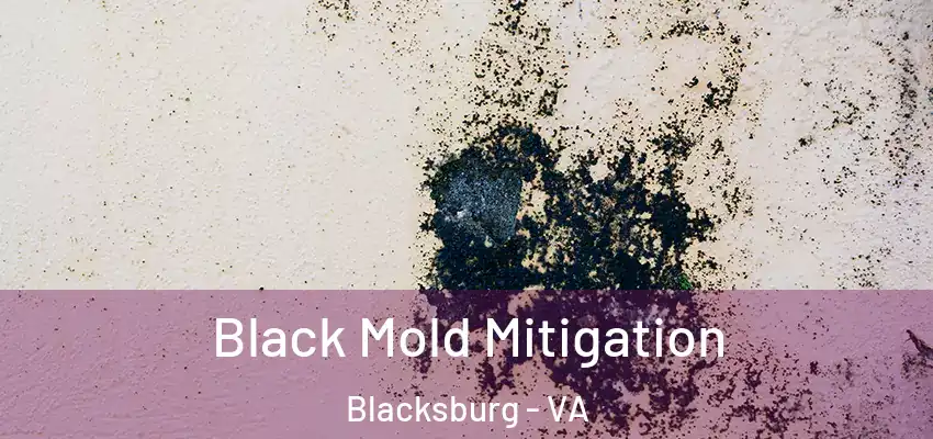  Black Mold Mitigation Blacksburg - VA