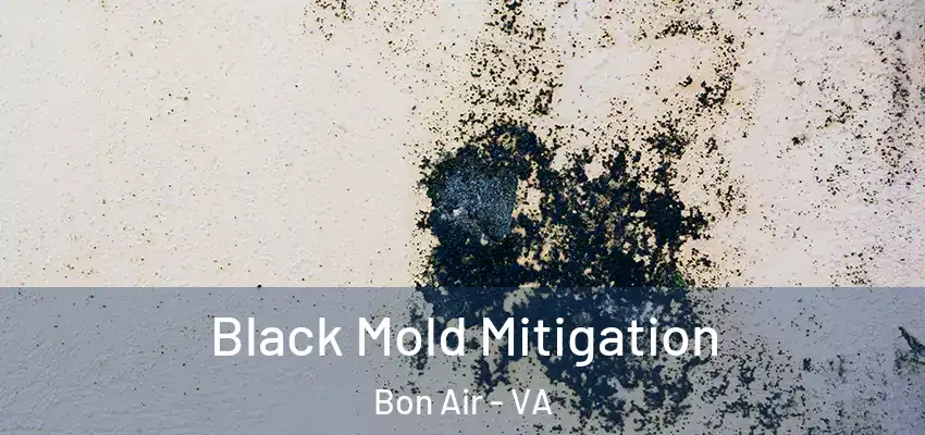  Black Mold Mitigation Bon Air - VA