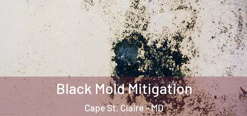 Black Mold Mitigation Cape St. Claire - MD