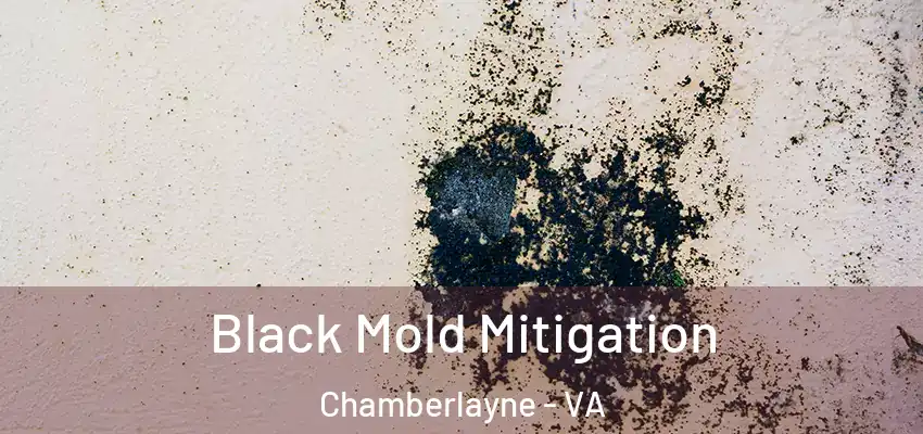  Black Mold Mitigation Chamberlayne - VA