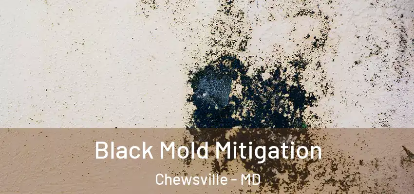  Black Mold Mitigation Chewsville - MD
