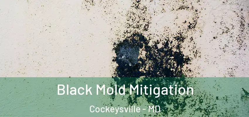 Black Mold Mitigation Cockeysville - MD