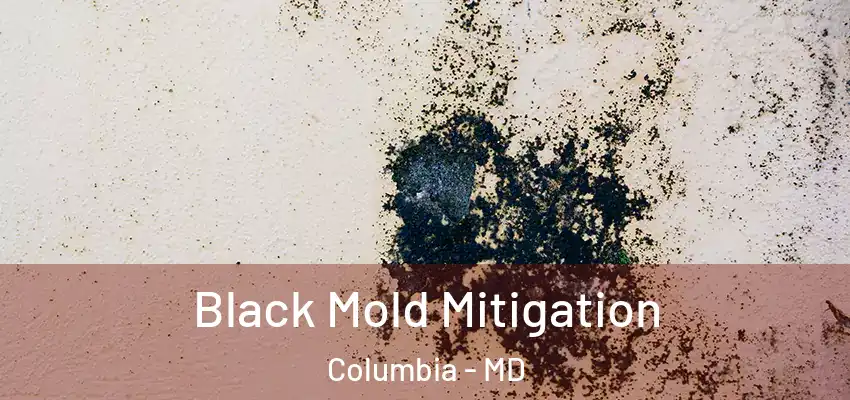 Black Mold Mitigation Columbia - MD