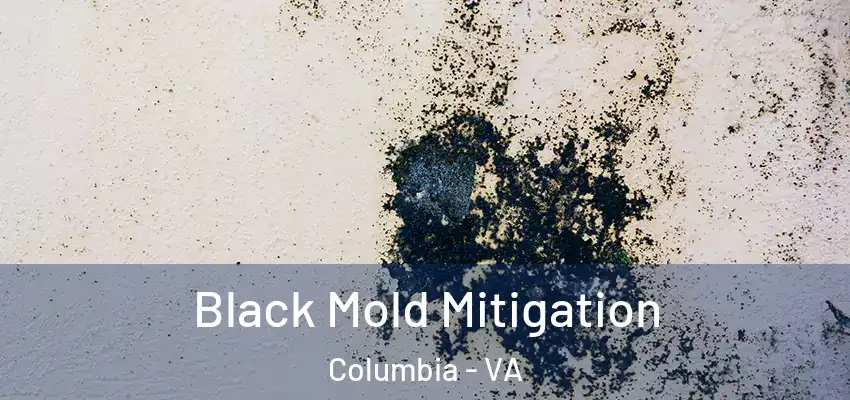  Black Mold Mitigation Columbia - VA