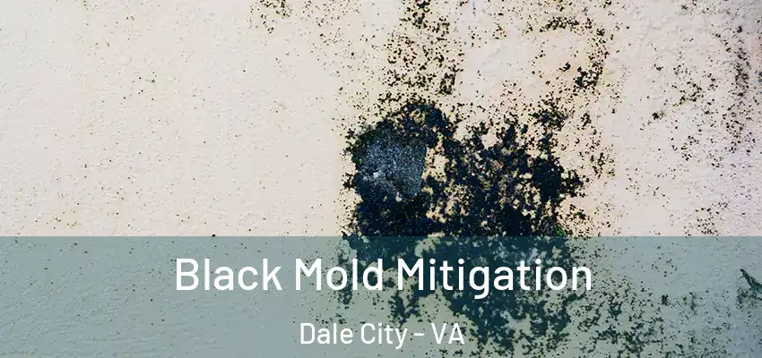 Black Mold Mitigation Dale City - VA