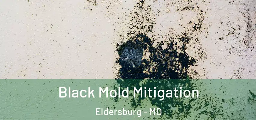  Black Mold Mitigation Eldersburg - MD