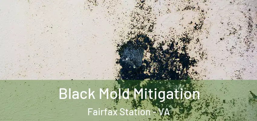 Black Mold Mitigation Fairfax Station - VA