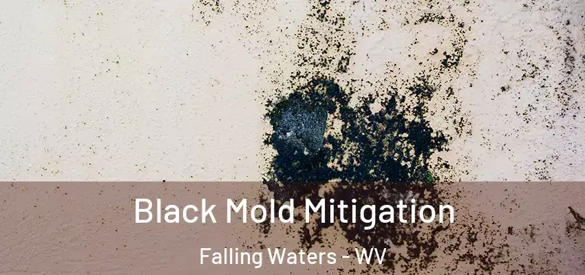  Black Mold Mitigation Falling Waters - WV