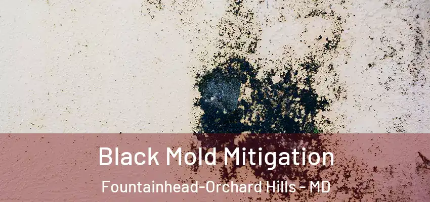  Black Mold Mitigation Fountainhead-Orchard Hills - MD
