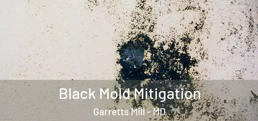 Black Mold Mitigation Garretts Mill - MD