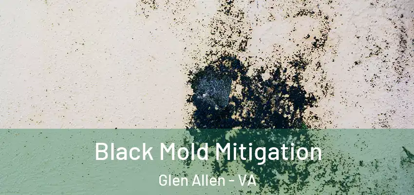 Black Mold Mitigation Glen Allen - VA