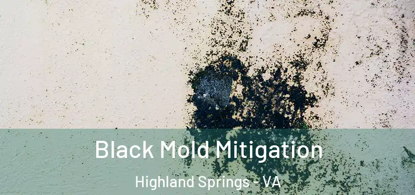 Black Mold Mitigation Highland Springs - VA