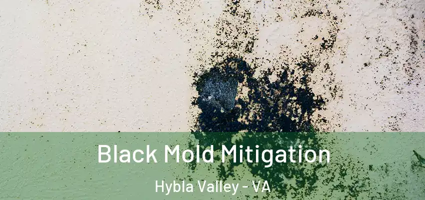 Black Mold Mitigation Hybla Valley - VA