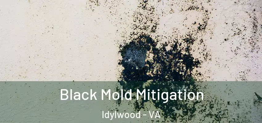  Black Mold Mitigation Idylwood - VA