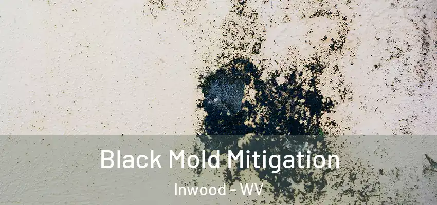 Black Mold Mitigation Inwood - WV