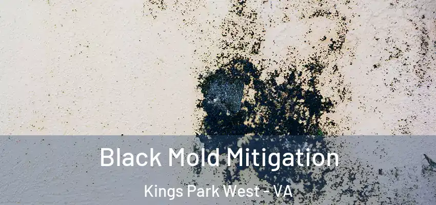  Black Mold Mitigation Kings Park West - VA