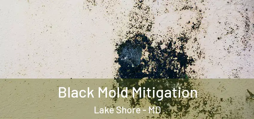 Black Mold Mitigation Lake Shore - MD