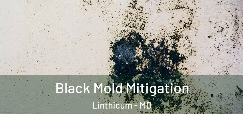  Black Mold Mitigation Linthicum - MD