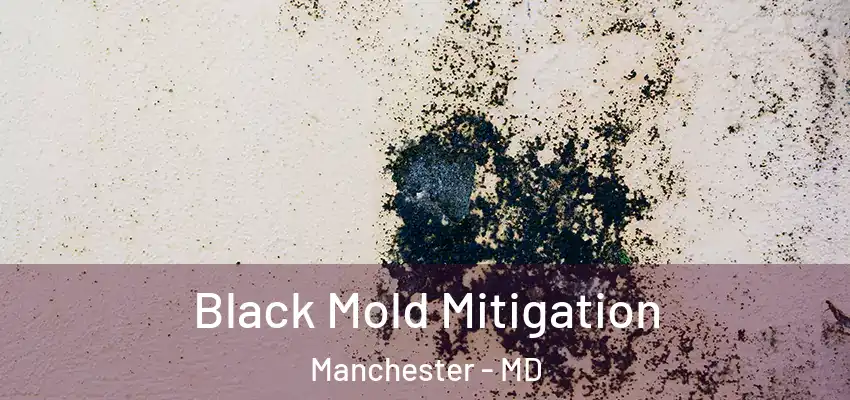 Black Mold Mitigation Manchester - MD