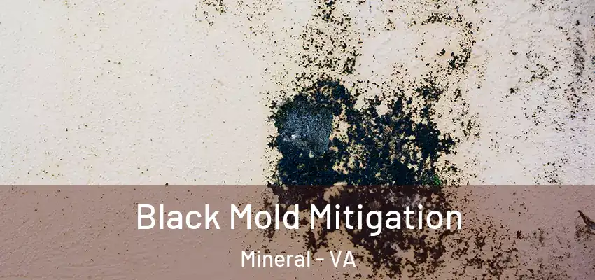 Black Mold Mitigation Mineral - VA