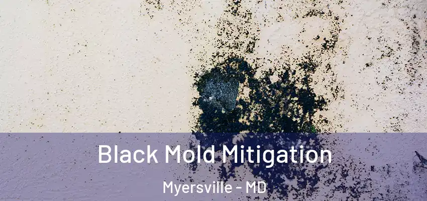 Black Mold Mitigation Myersville - MD