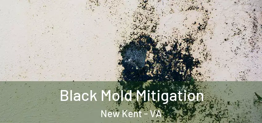 Black Mold Mitigation New Kent - VA