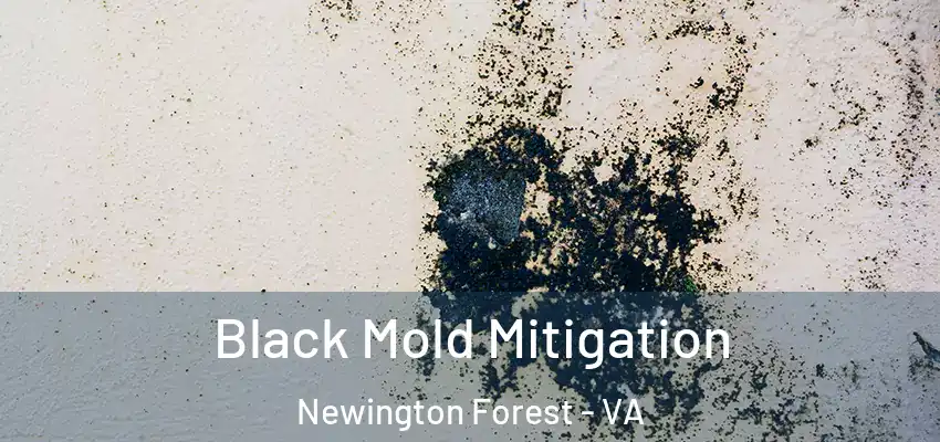  Black Mold Mitigation Newington Forest - VA