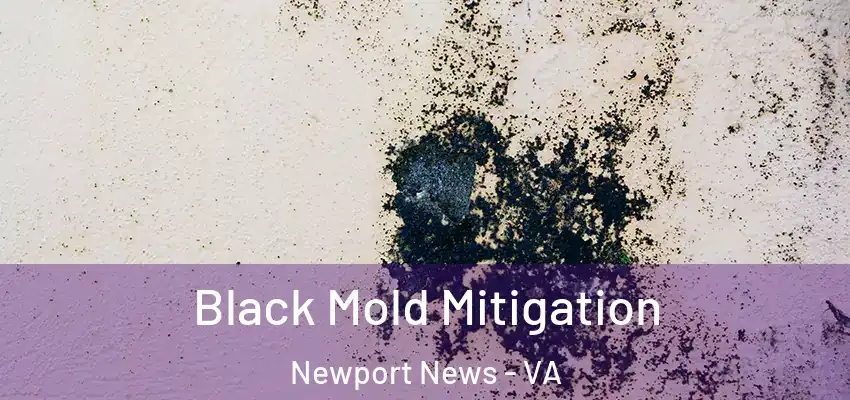 Black Mold Mitigation Newport News - VA