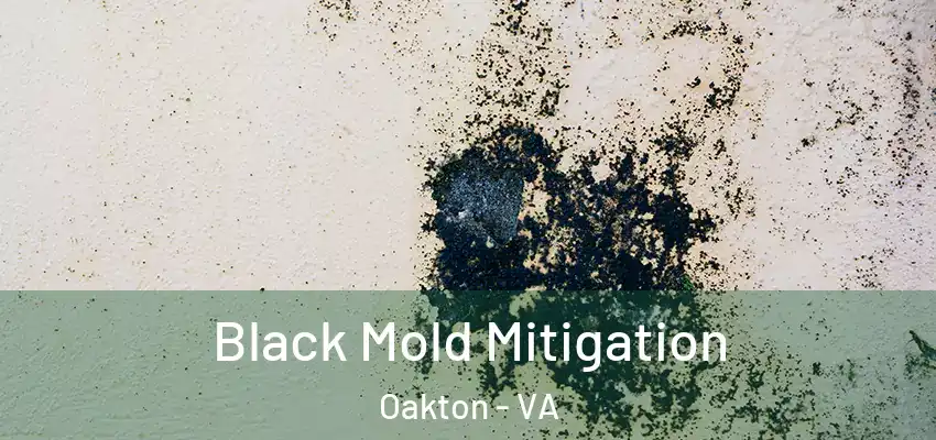 Black Mold Mitigation Oakton - VA