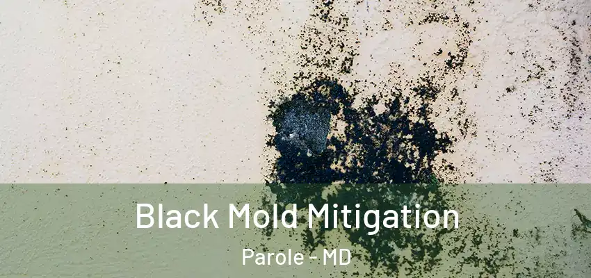 Black Mold Mitigation Parole - MD