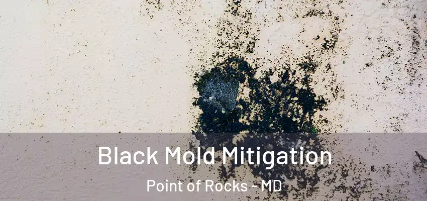 Black Mold Mitigation Point of Rocks - MD