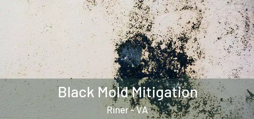 Black Mold Mitigation Riner - VA