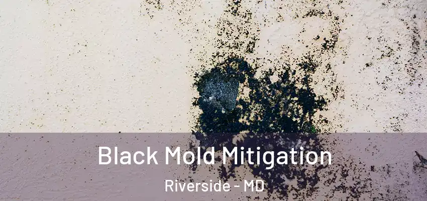  Black Mold Mitigation Riverside - MD