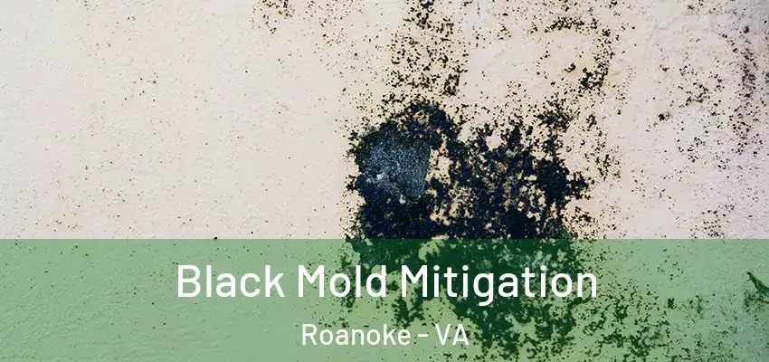 Black Mold Mitigation Roanoke - VA