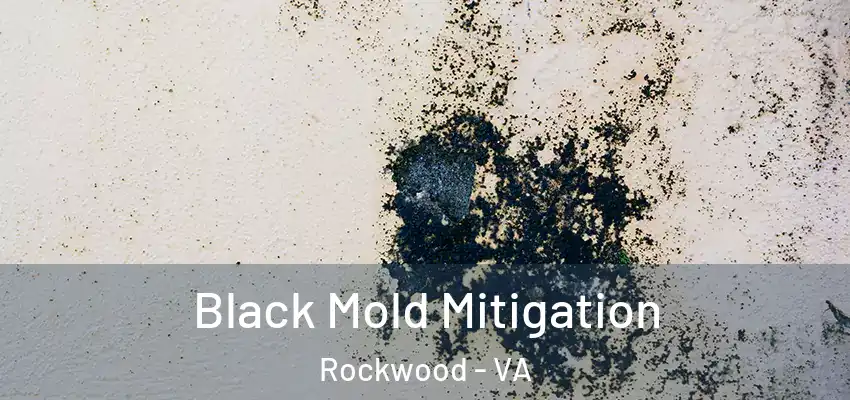  Black Mold Mitigation Rockwood - VA