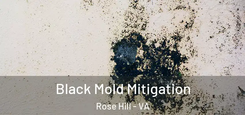 Black Mold Mitigation Rose Hill - VA