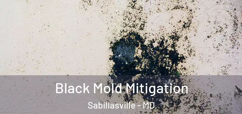  Black Mold Mitigation Sabillasville - MD
