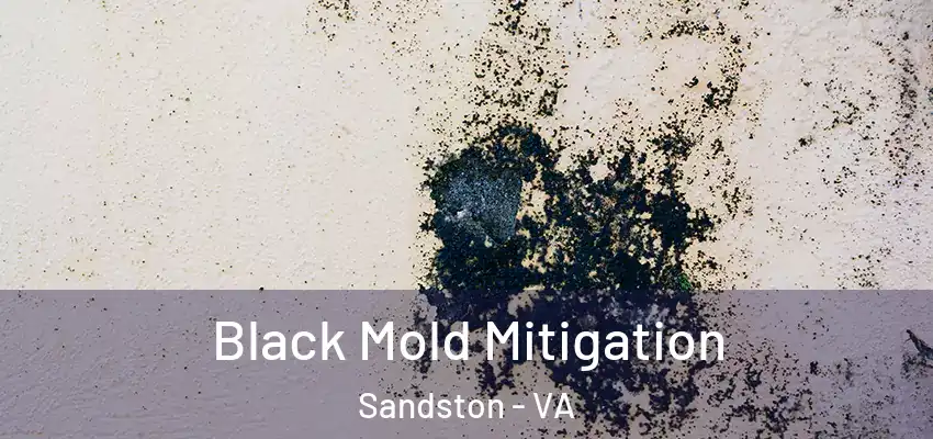 Black Mold Mitigation Sandston - VA