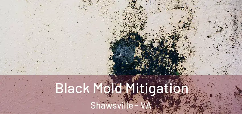 Black Mold Mitigation Shawsville - VA
