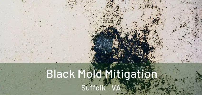  Black Mold Mitigation Suffolk - VA