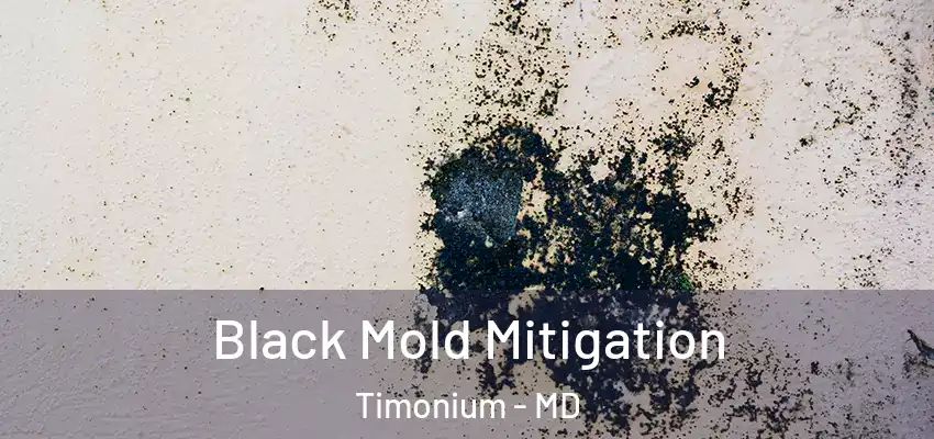  Black Mold Mitigation Timonium - MD
