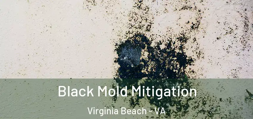 Black Mold Mitigation Virginia Beach - VA