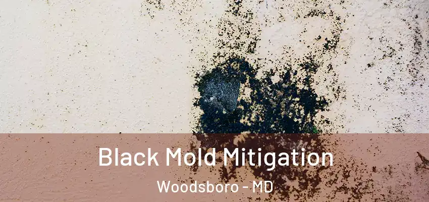 Black Mold Mitigation Woodsboro - MD